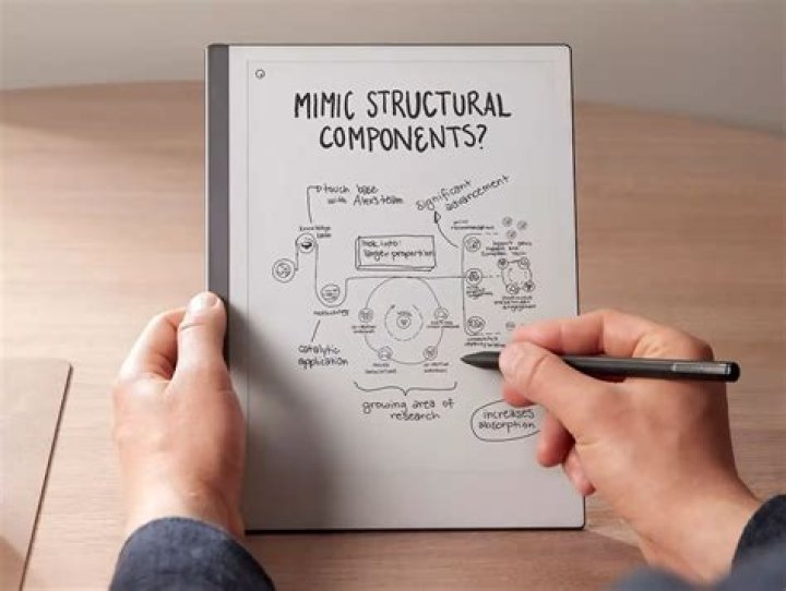 Elke Ummers: Unveiling the Life, Career, and Impact of a Remarkable Personality