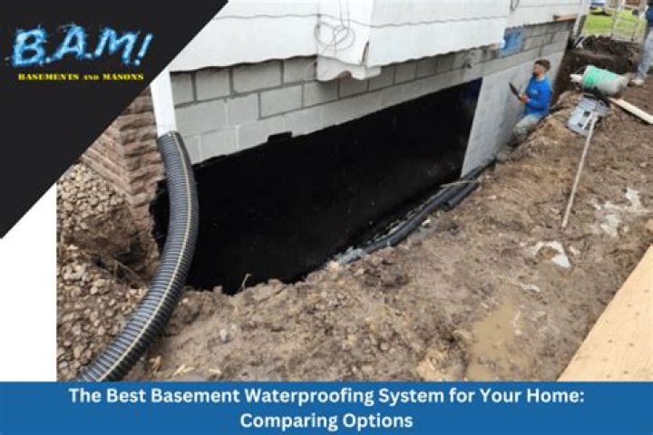Find the Best Basement Dealing Services Near You