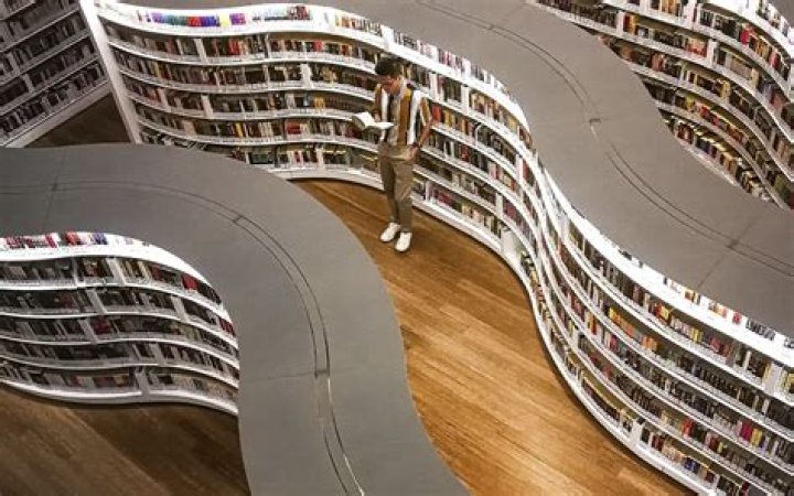 MN Library Association: Your Gateway to Knowledge and Community Engagement