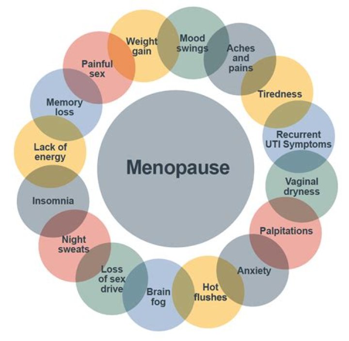 The Menopause Society: A Comprehensive Guide to Understanding Menopause